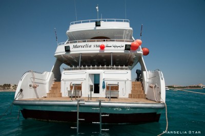 marseliastar2.jpg