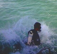 IMG0406A.jpg