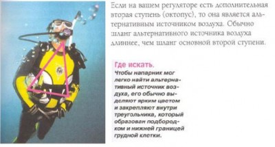 Octopus.JPG