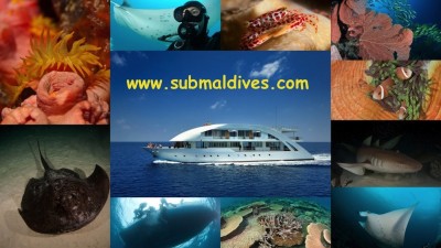 Submaldives 999x562.jpg