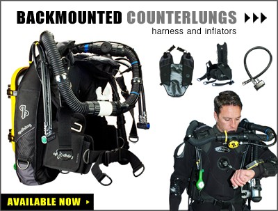 BMCLung_Banner400.jpg