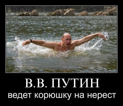 demotivator1531.jpg