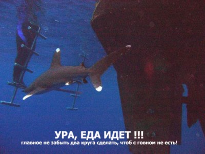 ак.jpg