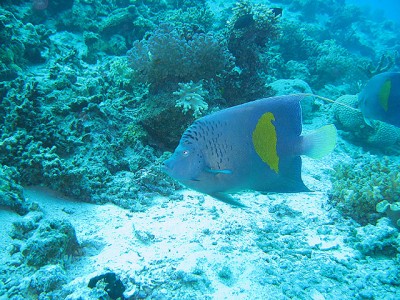 IMG_3513-640.jpg