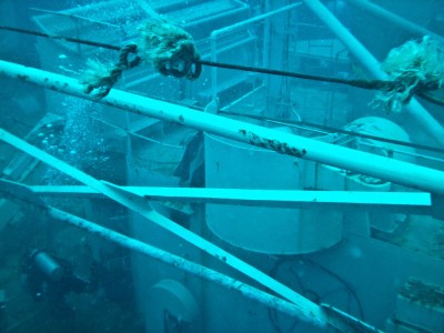 wreck diving koh chang.jpg
