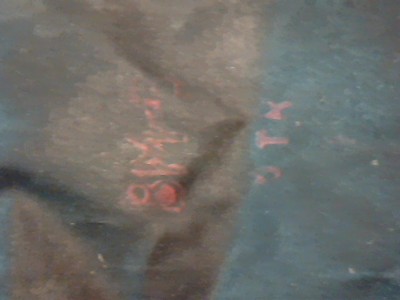 Picture 205.jpg