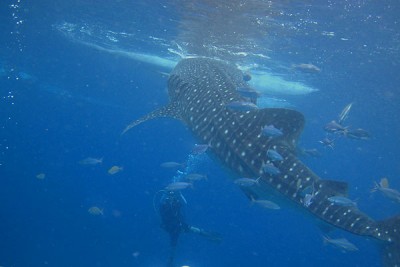 Mar05_12_002.jpg