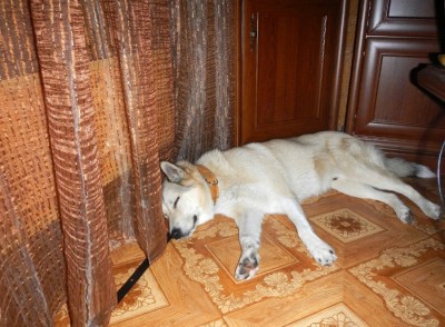 DSCN0081.jpg