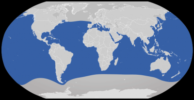 Cypron-Range_Carcharodon_carcharias.svg.png
