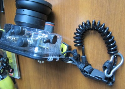 Image1.jpg