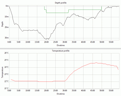 temp_profile.gif