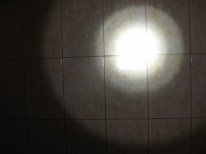 IMG_9215.jpg