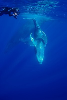 DSC_0054n.jpg