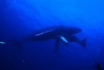 DSC_0141n.jpg