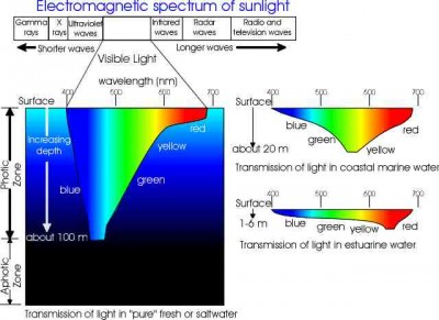 electrospectruminwater.jpg