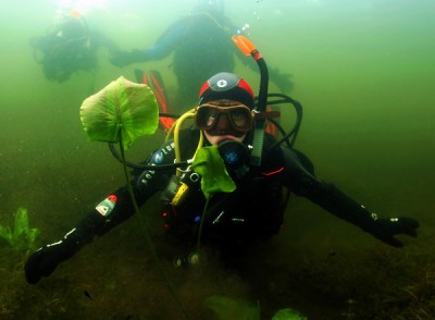 diving_02-04-13_1.jpg