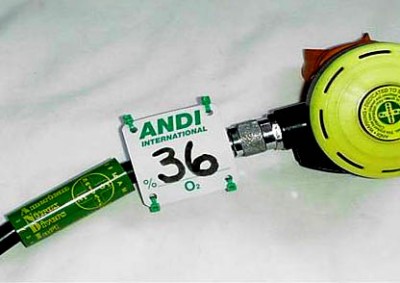 ANDI Marks.jpg