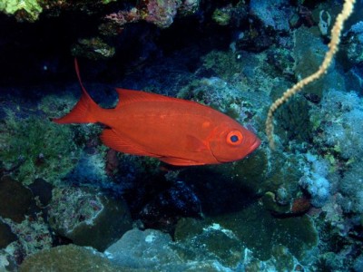 M0011850.jpg