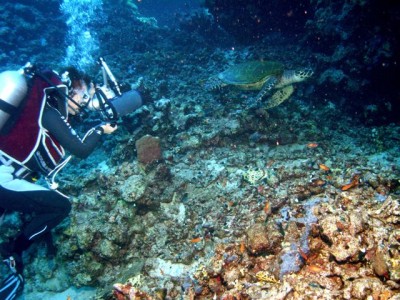 M0011876.jpg