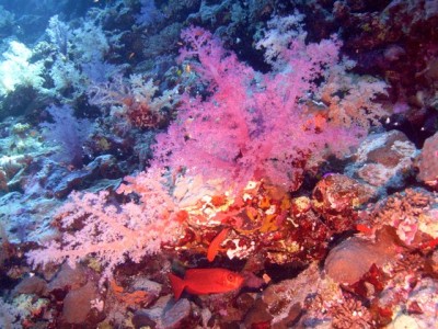 M0011961.jpg