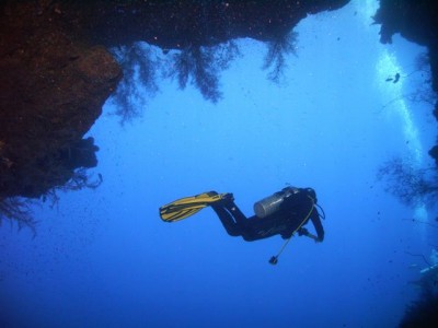 M0011991.jpg