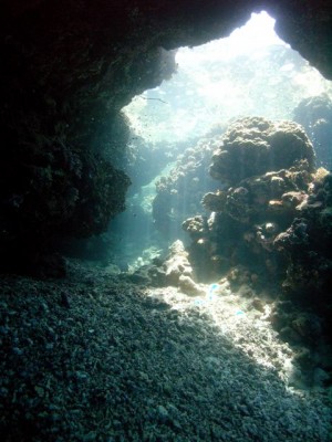 M0011988.jpg