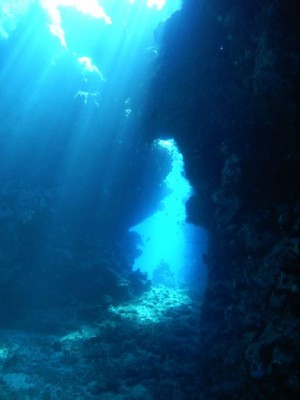 M0012105.jpg