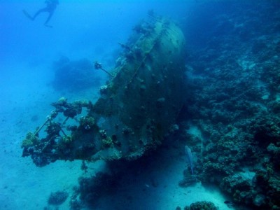 M0012322.jpg