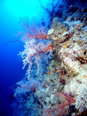 M0012333.jpg