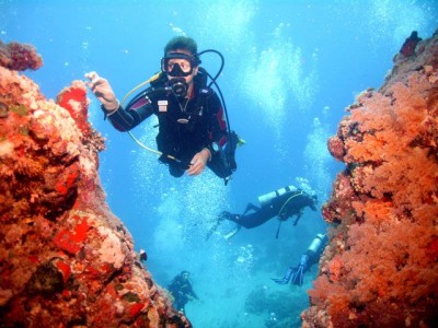 M0012379.jpg