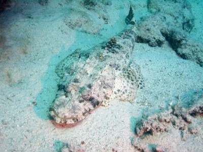 M0012448.jpg