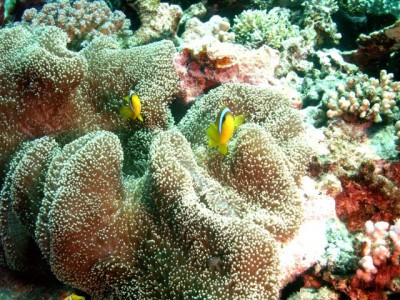 M0012400.jpg