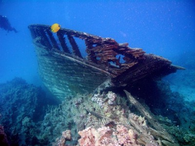 M0012475.jpg