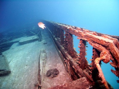 M0012453.jpg