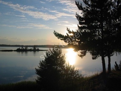 TVER-DIVING6.jpg