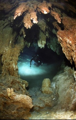 Image45.jpg