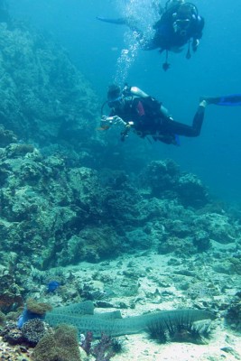 IMG_1962_1.JPG