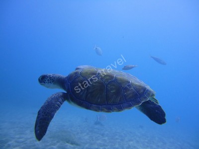 tenerife_6.jpg