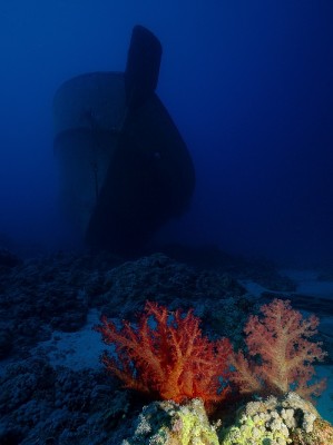 DSC_9845_2.jpg