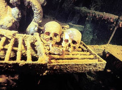 Scull  copy.jpg