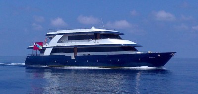 Eagle Ray(1).jpg