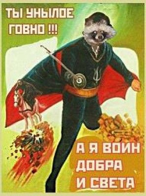 зорро енотище.JPG