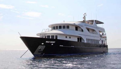 Buddy_Liveaboard_1.jpg