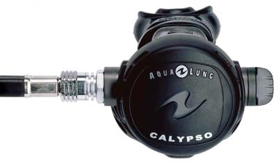 Calypso_big.jpg