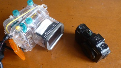 P1010137_resize_resize.JPG