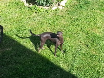 20130719_173414.jpg