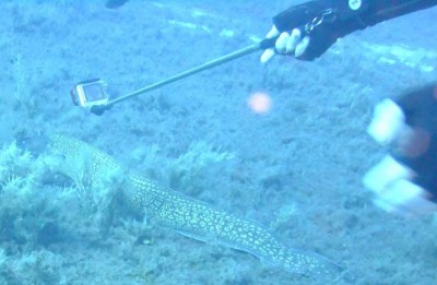 DSCF4860.JPG