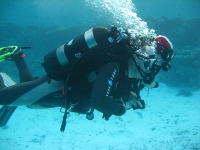 SN_2010_23_1.jpg