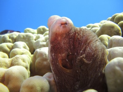 DSCN5184.JPG