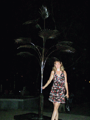 P7170062 копия.gif